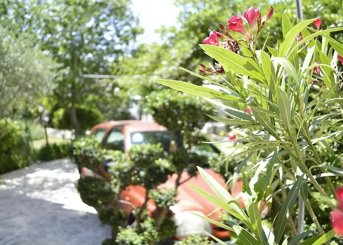 & Rica Μακάρσκα